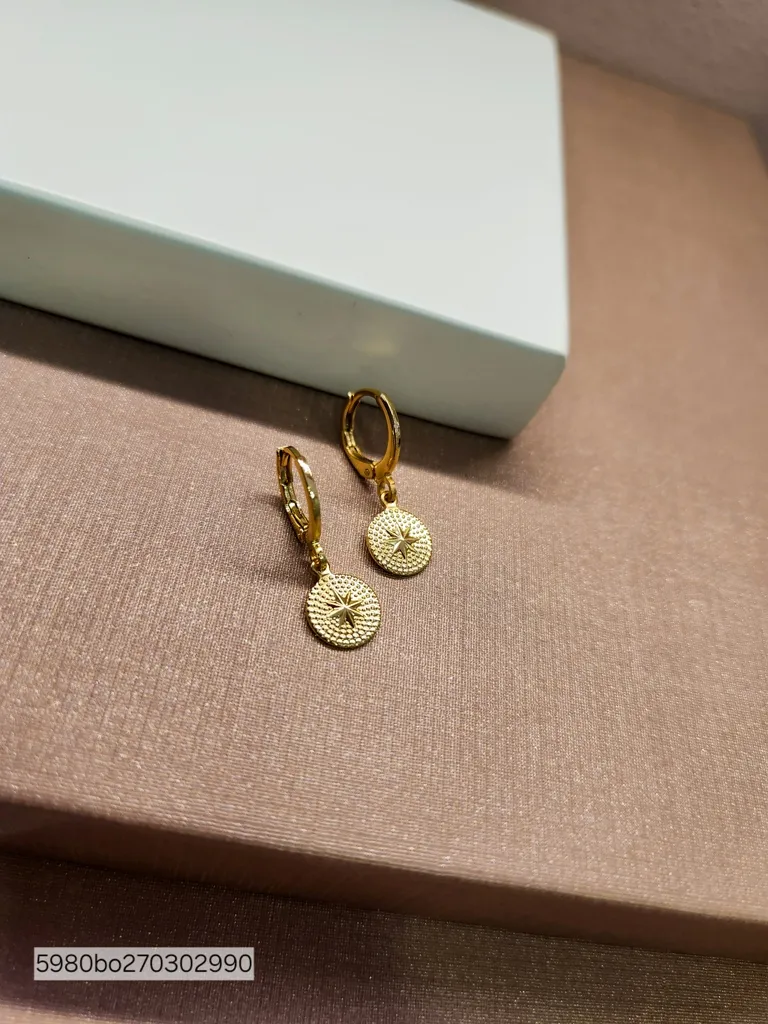 BRINCO OURO ARGOLINHA ROSA DOS VENTOS