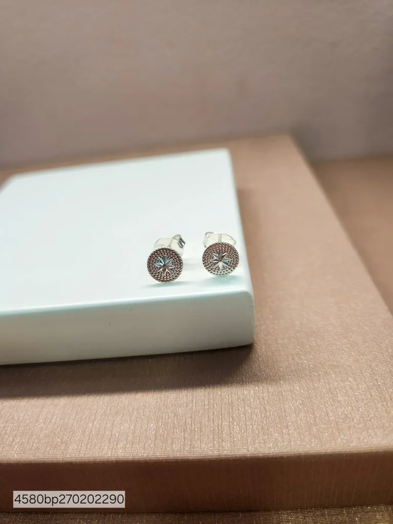 BRINCO PRATA ROSA DOS VENTOS