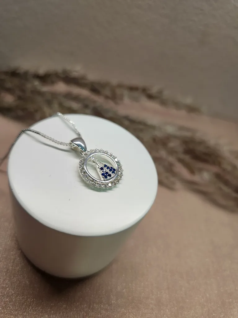 COLAR PRATA NOSSA SENHORA CIRC