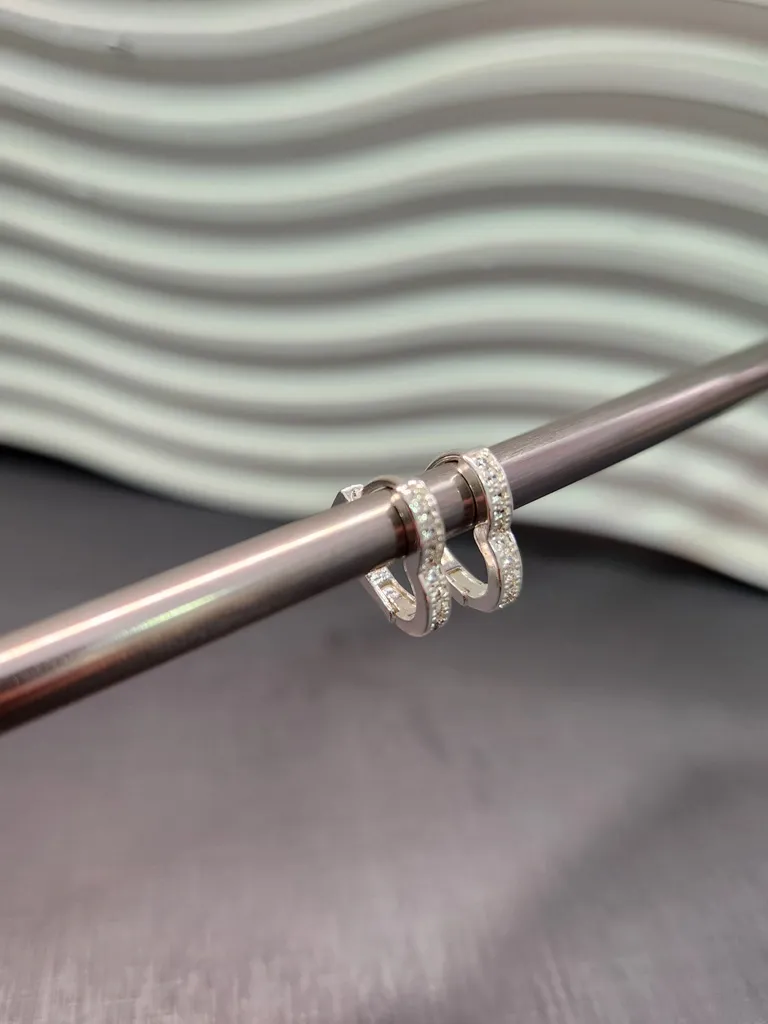 BRINCO PRATA ARGOLA COR Z P