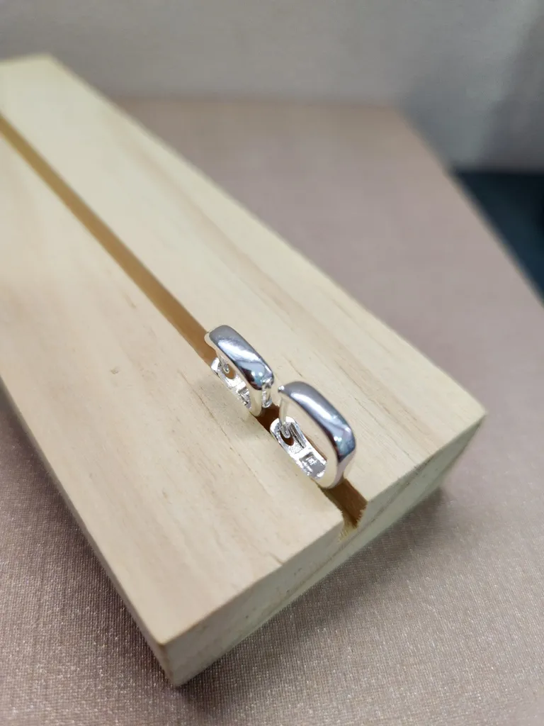 BRINCO PRATA ARGOLA RET L P