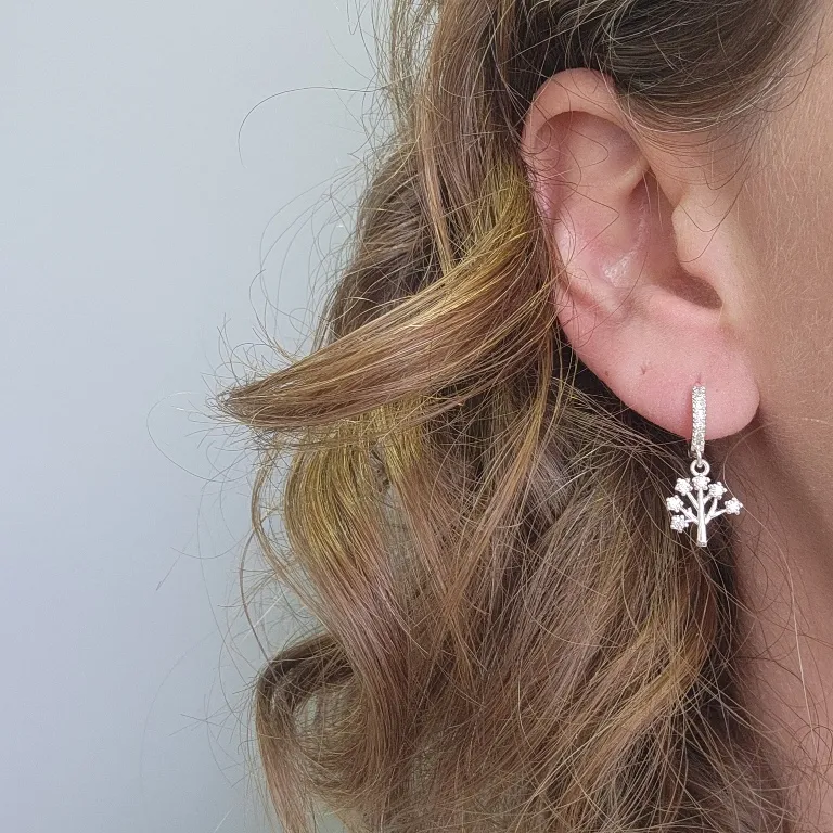 BRINCO PRATA ARG ARV D V