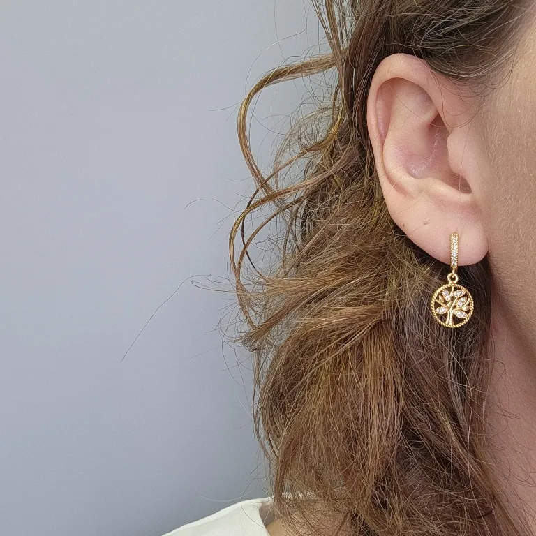 BRINCO OURO ARG R ARV D V