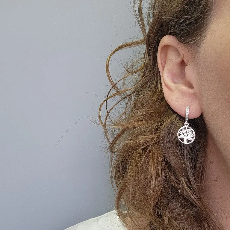 BRINCO PRATA ARG R ARV D V