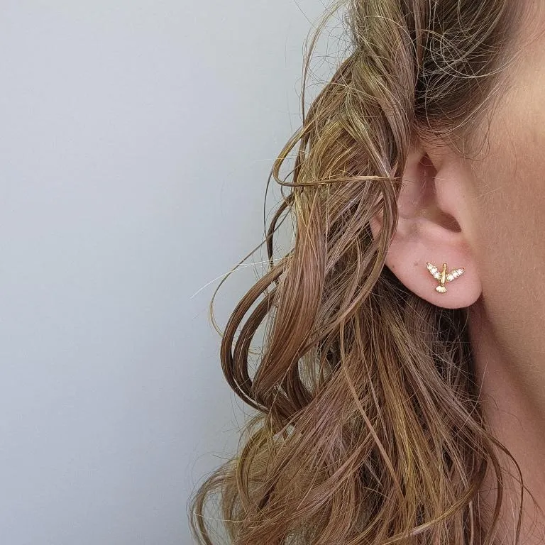 BRINCO OURO ESPÍRITO SANTO ZIRC