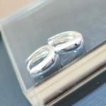 BRINCO ARGOLA PRATA G GORD L