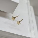 BRINCO OURO ESTRELA 6MM	