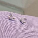 BRINCO PRATA COROA VAZADA