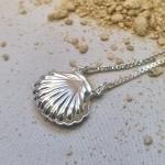 COLAR PRATA SHELL